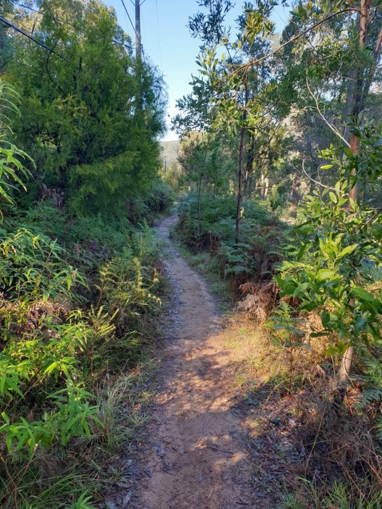 Yarra Ranges - Trail Survey