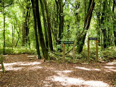 Otaia/Lindsay Bush Reserve