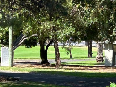 Maribyrnong City Council Parks Operational Review