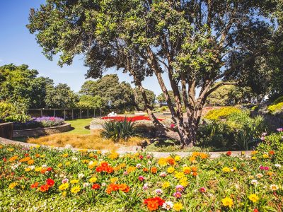 Napier Marine Parade Sunken Gardens